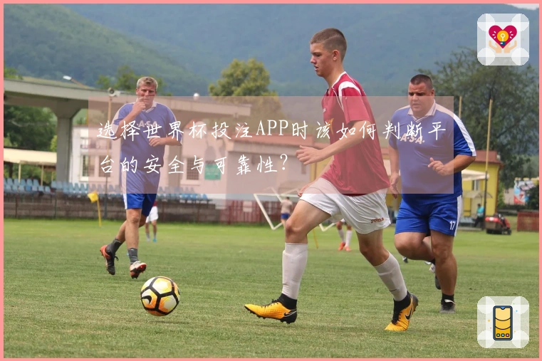 选择世界杯投注APP时该如何判断平台的安全与可靠性？