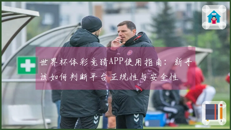 世界杯体彩竞猜APP使用指南：新手该如何判断平台正规性与安全性