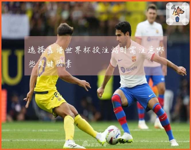 选择靠谱世界杯投注站时需注意哪些关键因素