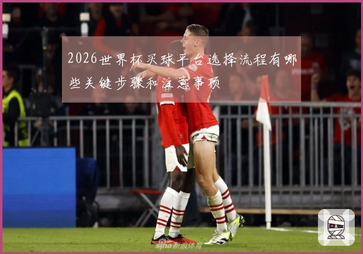 2026世界杯买球平台选择流程有哪些关键步骤和注意事项