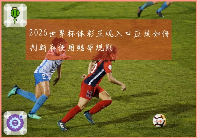 2026世界杯体彩正规入口应该如何判断和使用赔率规则