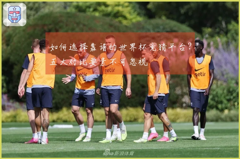 如何选择靠谱的世界杯竞猜平台?五大对比要素不可忽视