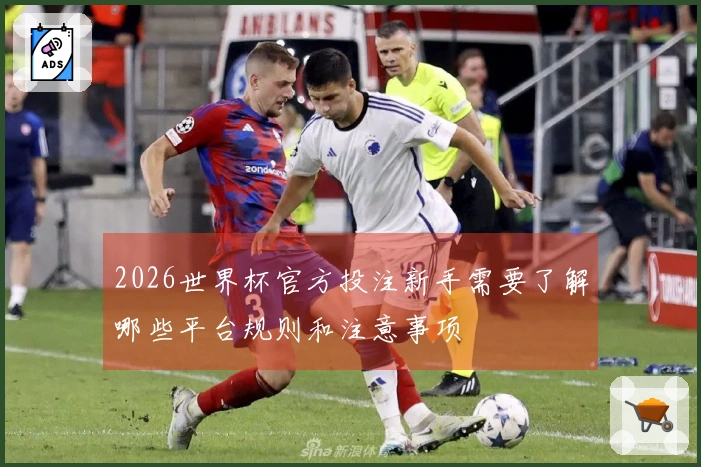 2026世界杯官方投注新手需要了解哪些平台规则和注意事项