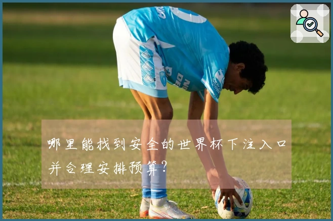 哪里能找到安全的世界杯下注入口并合理安排预算？