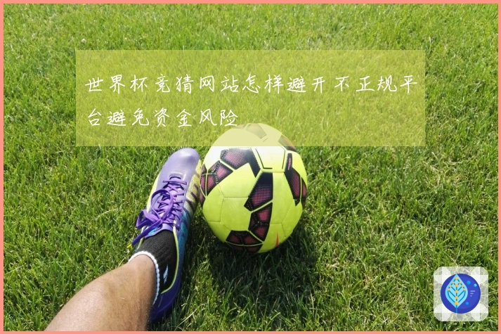 世界杯竞猜网站怎样避开不正规平台避免资金风险