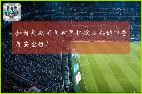 如何判断不同世界杯投注站的信誉与安全性？