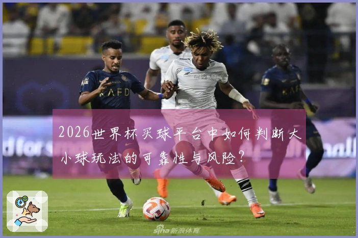 2026世界杯买球平台中如何判断大小球玩法的可靠性与风险？