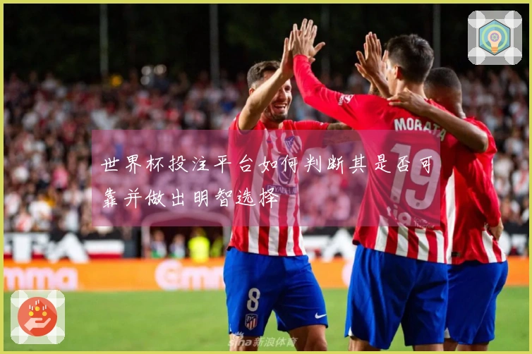 世界杯投注平台如何判断其是否可靠并做出明智选择