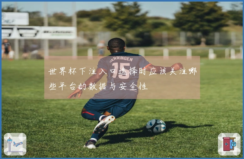 世界杯下注入口选择时应该关注哪些平台的数据与安全性