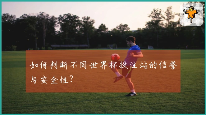 如何判断不同世界杯投注站的信誉与安全性？