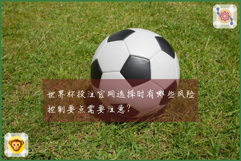世界杯投注官网选择时有哪些风险控制要点需要注意?