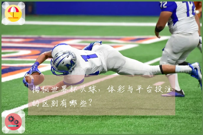 揭秘世界杯买球，体彩与平台投注的区别有哪些？