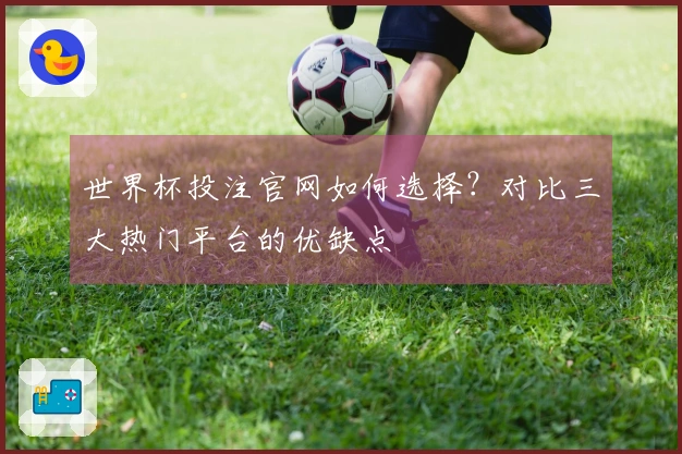 世界杯投注官网如何选择？对比三大热门平台的优缺点