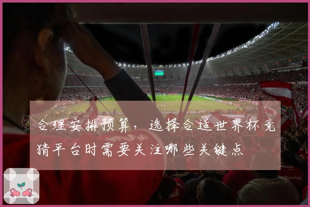 合理安排预算，选择合适世界杯竞猜平台时需要关注哪些关键点