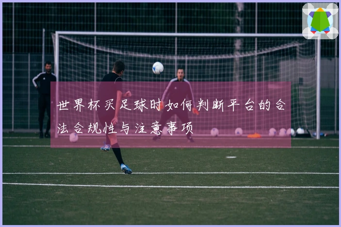 世界杯买足球时如何判断平台的合法合规性与注意事项