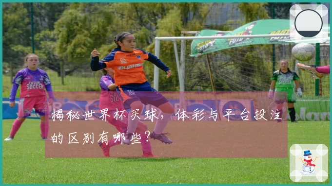 揭秘世界杯买球，体彩与平台投注的区别有哪些？