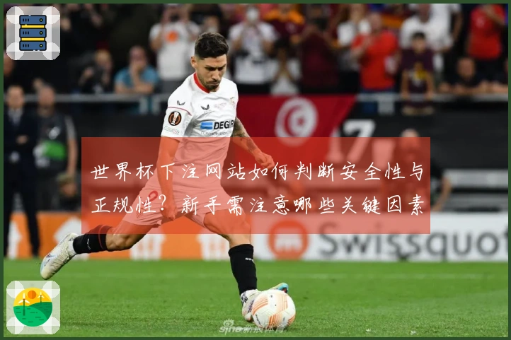 世界杯下注网站如何判断安全性与正规性？新手需注意哪些关键因素