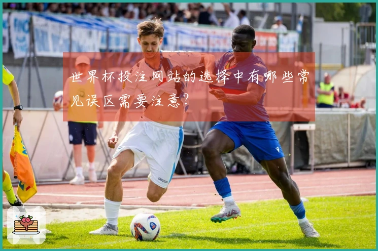 世界杯投注网站的选择中有哪些常见误区需要注意？