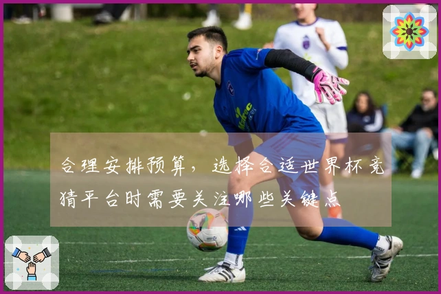 合理安排预算，选择合适世界杯竞猜平台时需要关注哪些关键点