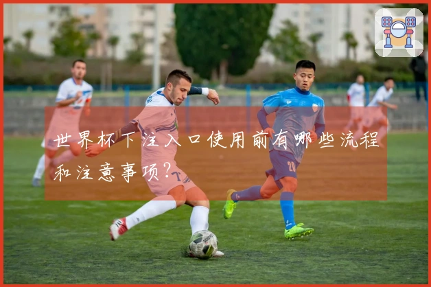 世界杯下注入口使用前有哪些流程和注意事项?