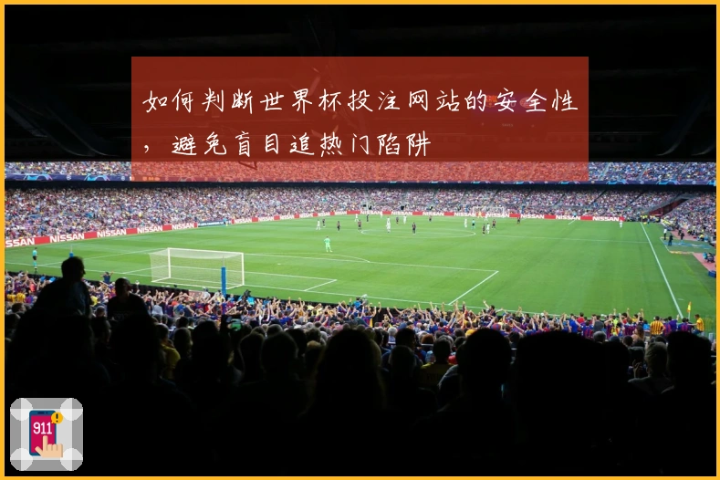 如何判断世界杯投注网站的安全性，避免盲目追热门陷阱