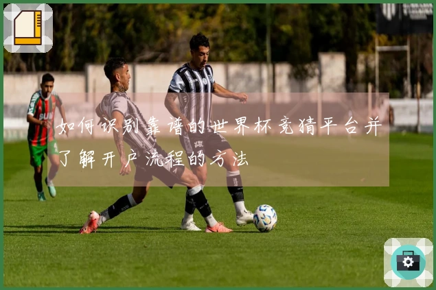 如何识别靠谱的世界杯竞猜平台并了解开户流程的方法