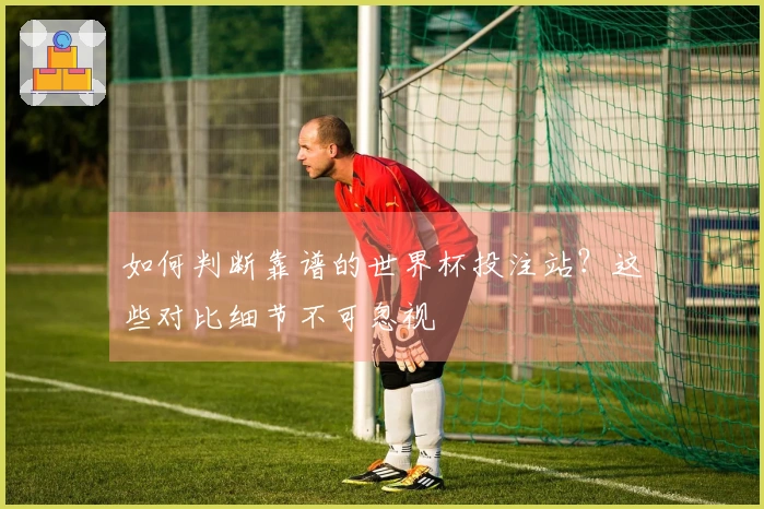 如何判断靠谱的世界杯投注站？这些对比细节不可忽视
