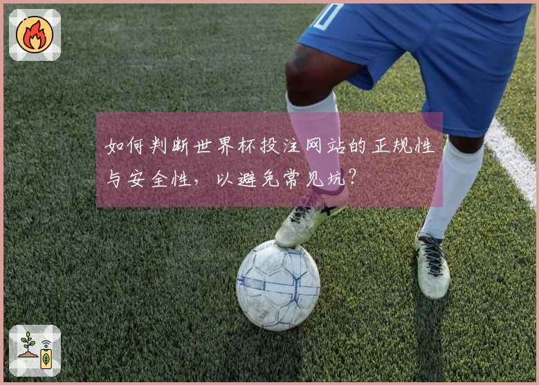 如何判断世界杯投注网站的正规性与安全性，以避免常见坑？