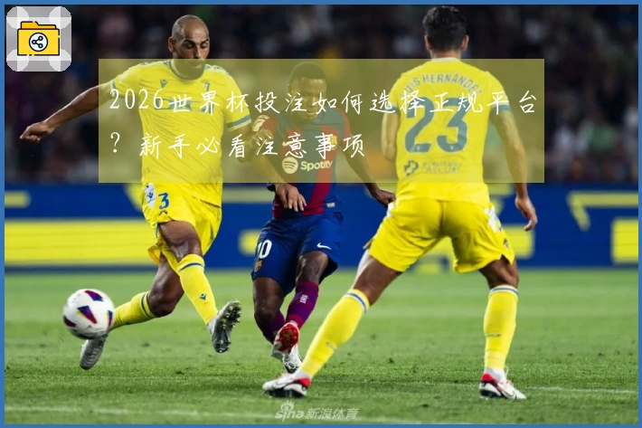 2026世界杯投注如何选择正规平台？新手必看注意事项