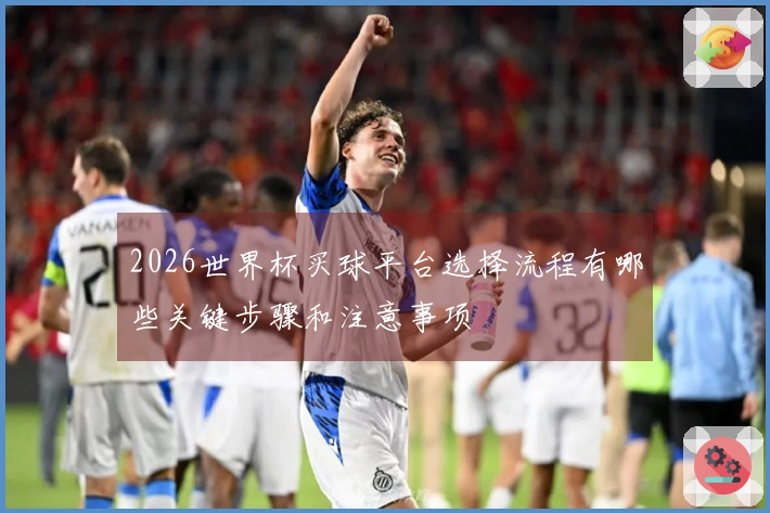 2026世界杯买球平台选择流程有哪些关键步骤和注意事项
