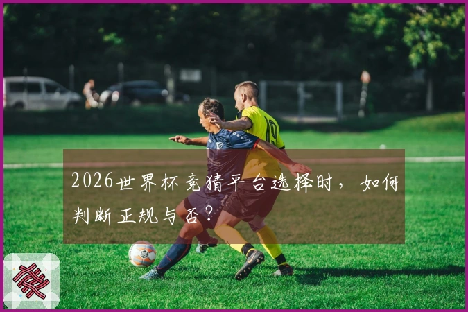 2026世界杯竞猜平台选择时，如何判断正规与否？