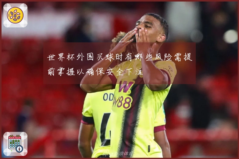 世界杯外围买球时有哪些风险需提前掌握以确保安全下注