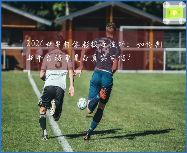 2026世界杯体彩投注技巧：如何判断平台赔率是否真实可信？