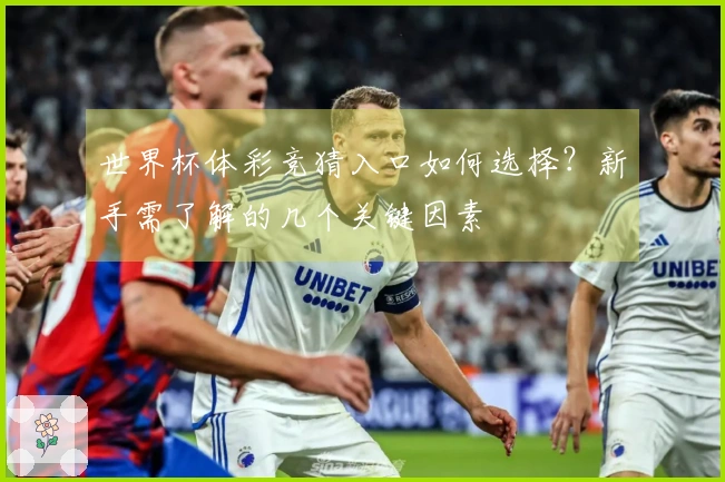 世界杯体彩竞猜入口如何选择？新手需了解的几个关键因素