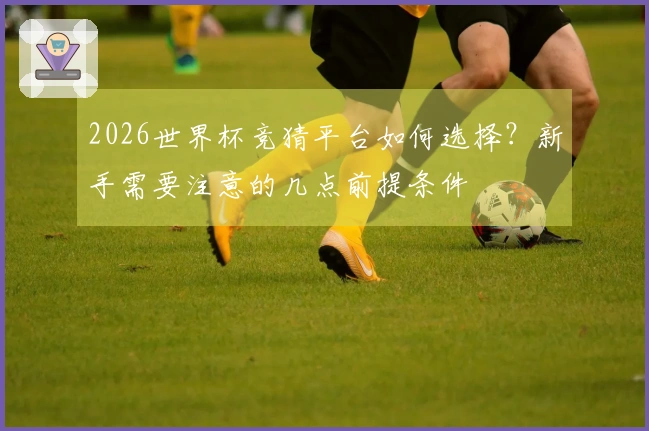 2026世界杯竞猜平台如何选择？新手需要注意的几点前提条件