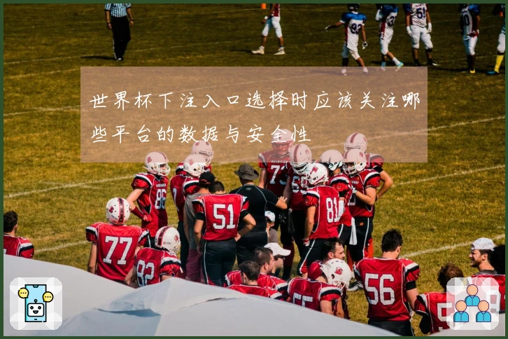 世界杯下注入口选择时应该关注哪些平台的数据与安全性