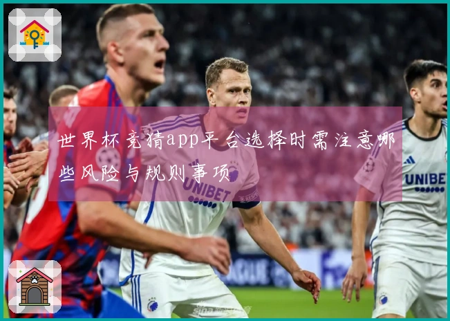 世界杯竞猜app平台选择时需注意哪些风险与规则事项
