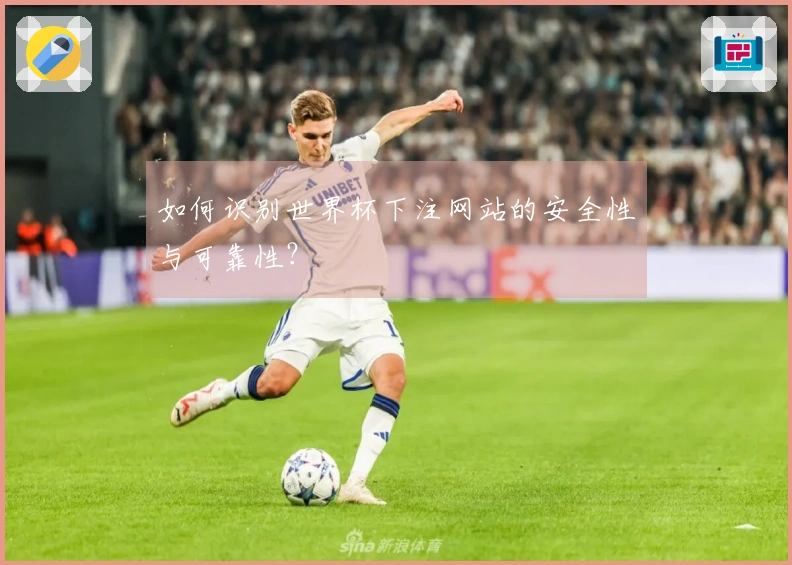 如何识别世界杯下注网站的安全性与可靠性？