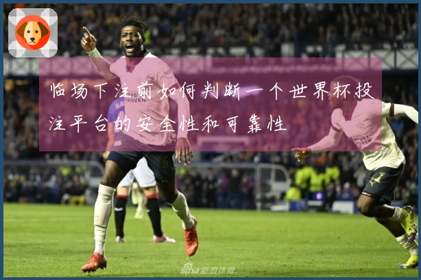 临场下注前如何判断一个世界杯投注平台的安全性和可靠性