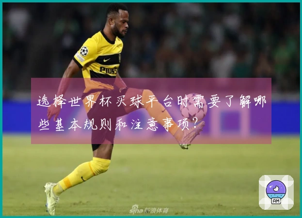 选择世界杯买球平台时需要了解哪些基本规则和注意事项？