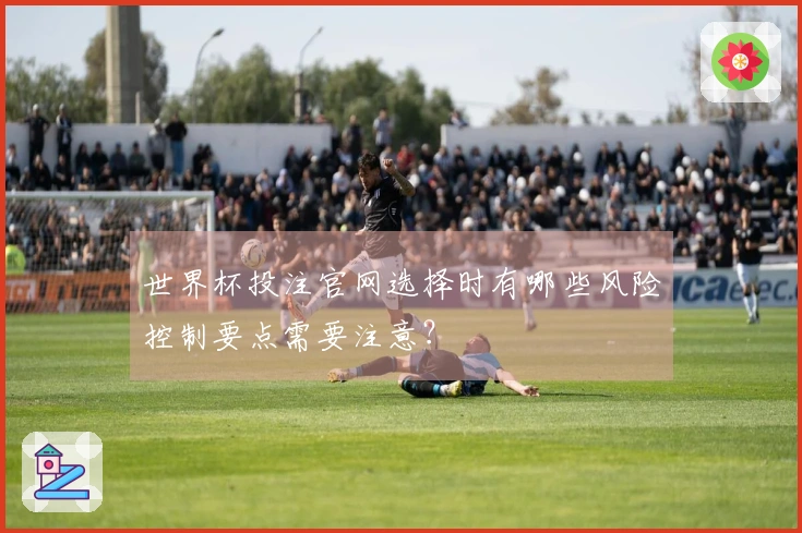 世界杯投注官网选择时有哪些风险控制要点需要注意？