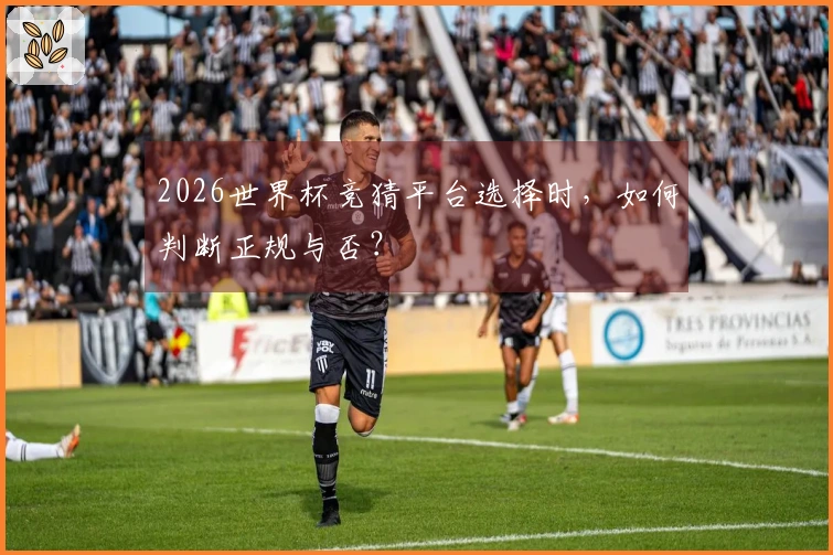 2026世界杯竞猜平台选择时,如何判断正规与否?