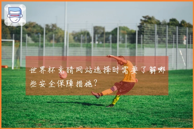 世界杯竞猜网站选择时需要了解哪些安全保障措施？