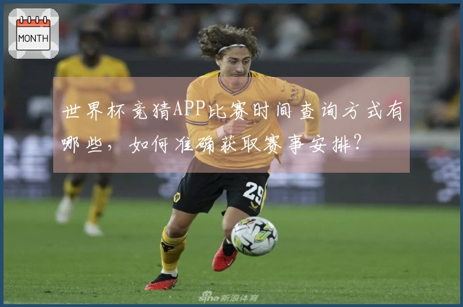 世界杯竞猜APP比赛时间查询方式有哪些，如何准确获取赛事安排？
