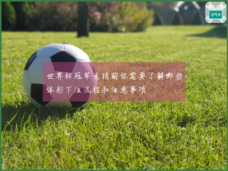 世界杯冠军竞猜前你需要了解哪些体彩下注流程和注意事项