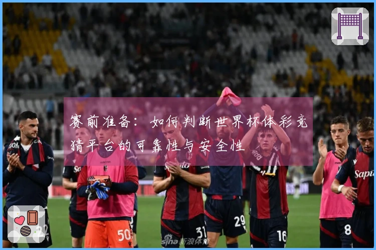 赛前准备：如何判断世界杯体彩竞猜平台的可靠性与安全性