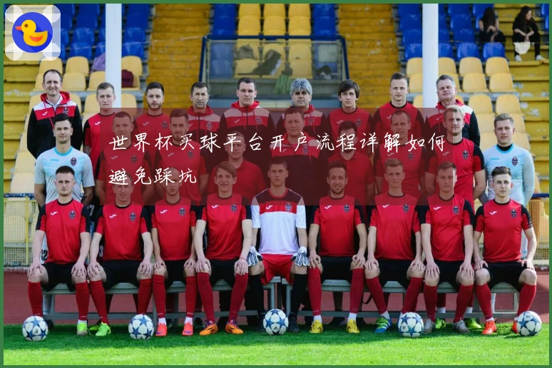 世界杯买球平台开户流程详解如何避免踩坑