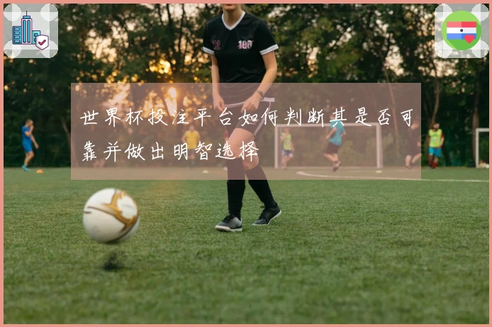 世界杯投注平台如何判断其是否可靠并做出明智选择