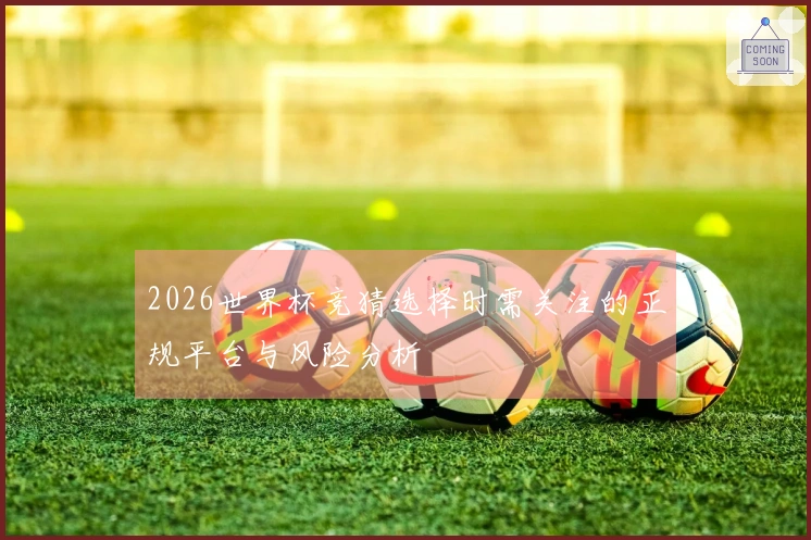 2026世界杯竞猜选择时需关注的正规平台与风险分析